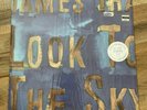 James Iha 