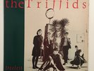 THE TRIFFIDS Treeless Plain VINYL LP 1984 HOT1003 Lyric sheet A1/B1 VG+