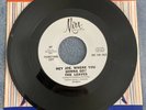 The Leaves “Hey Joe” 1965 Mira Records 207 Rare Promo EX Psych Garage 45 RPM
