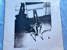 PJ HARVEY DRESS 1991 TOO PURE 12