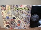SANDROSE – SAME Sommor SOMM12 2013 Spanish 180g LP French 70s PROG PSYCH ROCK M-