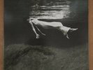 Bill Evans & Jim Hall ‎– Undercurrent (Mobile Fidelity Sound Lab, MFSL) Nr. Mint