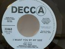 Bag I WANT YOU BY MY SIDE / RED PURPLE AND BLUE (R&R PROMO 45)#32463 PLAYS VG++