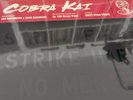 Cobra Kai Soundtrack 3x LP Schallplatte Vinyl Karate Kid NEU OVP Miyagi
