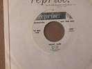 45 RPM SURF ROCK INSTRO. THE WHAT FOR  