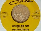 EX 1965 CUCA COUNTRY Bobby Fitzgibbon And The Noteables 45 driftless SARA numero