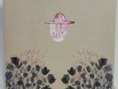 DEVENDRA BANHART   SMOKEY ROLLS DOWN THUNDER CANYON   VINYL Double LP