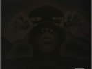 Jay-Z - The Black Album [Vinyl 2 LP] NEW BENT CORNERS