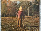 THE ALLMAN BROTHERS BAND Brothers And Sisters Original 1977 VINYL LP RECORD 12