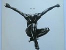 SEAL - Seal - Excellent Condition LP Record ZTT 4509-96256-1