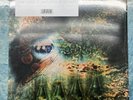 PINK FLOYD A Saucerful Of Secrets (Mono) 2019 RECORD STORE DAY 12