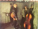 STRAY CATS 