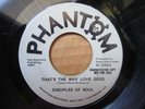 Disciples Of Soul - that's the way love goes PHANTOM