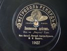 Mikhail Vavich Bass Gounod Faust & Meyerbeer Huguenots 78 RPM Metropol 19437/38