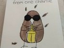 Charlie Watts BOXSET From One Charlie 10