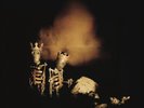 Pearl Jam-Riot Act-Pearl Jam-Riot Act VINYL LP NEW