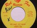 1964 Garage Rocker 45 rpm TERRY LEE Hey Baby, Hey Sugar RED FOX 101 Original VG+
