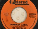 THE CAMERONS Guardian Angel / A Girl I Marry 45 Felsted Doo Wop R&B VG++ VINYL