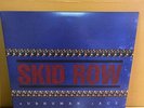 Skid Row – Subhuman Race 2021 30th Anniv x2 LP Vinyl Records Brand new Unsealed