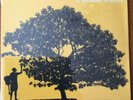 Jack Johnson - In Between Dreams - New & Sealed - Vinyl
