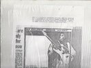Jimi Hendrix: Live In Germany 1970:  Rare Collector's LP [Isle Of Fehmarn]