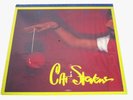 Cat Stevens Izitso Sealed Vinyl Record LP Album USA 1996 MFSL Numbered 0112