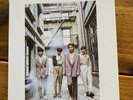 The Rose - Dawn album kpop