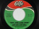 Funk/Sweet Soul 45 - Rudy Love & Love Family - Does Your Mama Know - Calla VG++