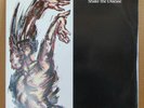 DEPECHE MODE Shake the Disease & Little 15 vinyl 12