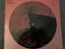 Roger Taylor Outsider Picture Disc LP Vinyl Queen | Limited Edition | NEU & OVP