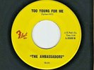NORTHERN SOUL 45  The Ambassadors  Fleet  3500