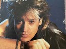 59315 - RALF BURSY - WIND IM GESICHT - 1987 AMIGA VINYL LP (SCHLÄFST DU SCHON)