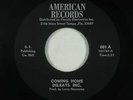 Northern Soul 45 - Delrays, Inc. - Coming Home - American - mp3