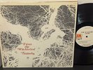 STRAWBS From The Witchwood 1971 A&M PROMO Prog Psych LP EX+ Vinyl