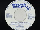 Modern Soul Boogie 45 - Ego - Wildcats From Kentucky - Earth - mp3 - rare