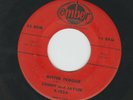BLUES ROCKERS - SONNY TERRY and JAYCEE -  MISTER FROGGIE - HEAR - 1958 EMBER