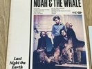 noah and the whale vinyl
