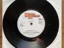 echo and the bunnymen vinyl Crocodiles 7” Promo Copy 1981 Rare Edition