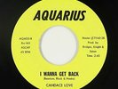 Sweet Soul 45 - Candace Love - I Wanna Get Back - Aquarius - VG+ mp3