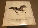 Turnpike Troubadours - A long way from your heart - sealed LP vinyl