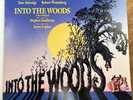  Into The Woods on vinyl  Original Cast Recording, 1987. Complete in great shape
