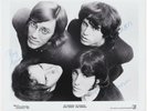 DOORS orig signed 1968 press photo 10