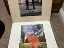 pink floyd wish you were here vinyl