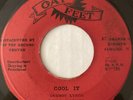 DERMOT LYNCH / LYN TAITT Adults Only 45 Cool It GAY FEET 7