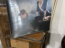 The Bird And The Bee Masters Volume 2: A Tribute To Van Halen NEW Fast Free S/H