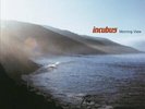 Incubus-Morning view Vinyl / 12