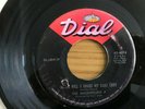 THE MAGNIFICENT 7..NEVER WILL I...RARE USA ISSUE SINGLE..DIAL..45-4074