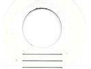 BRUCE SPRINGSTEEN Because The Night/The Promise TEST PRESSING 45 HEAR