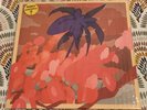 Mcbaise Windowsill Vinyl Record Limited Edition of 300 LP Excellent Condition