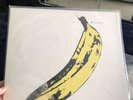 Vtg The Velvet Underground & Nico Andy Warhol Vinly LP